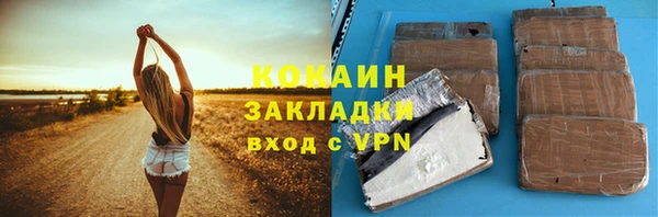 2c-b Дмитриев