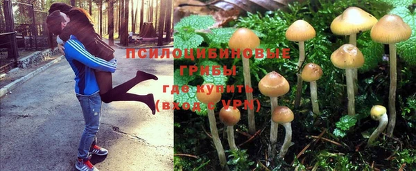 2c-b Дмитриев
